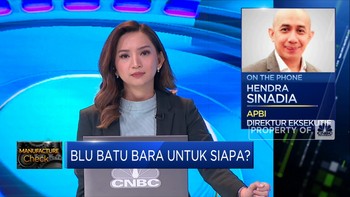 BLU Batu Bara Untuk Siapa? Penambang & Pengamat Buka Suara
