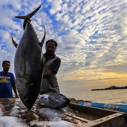 UMKM Jadi Andalan, BRI Pede RI Jauh dari Pusat Krisis Global