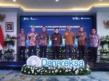 Erick Resmikan Danareksa jadi Holding, Ini 10 Anak Usahanya