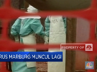 Siaga! Virus Marburg Muncul Lagi