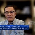 Mantan Menperin Ini Usul DMO Sawit Setop Sementara, Ada Apa?