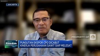 Mantan Menperin Ini Usul DMO Sawit Setop Sementara, Ada Apa?