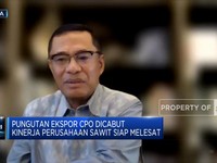 Mantan Menperin Ini Usul DMO Sawit Setop Sementara, Ada Apa?