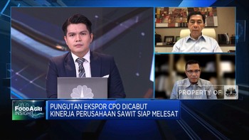 Pungutan Ekspor Dicabut, Pengusaha Masih Terhambat Kirim CPO