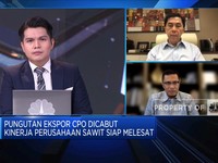 Pungutan Ekspor Dicabut, Pengusaha Masih Terhambat Kirim CPO