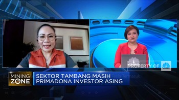 Sektor Tambang  Primadona Investor Asing, Tesla Termasuk?