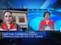Sektor Tambang  Primadona Investor Asing, Tesla Termasuk?