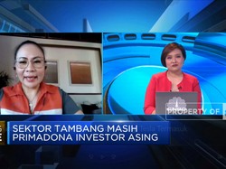 Mau Tarik Investor Asing di Sektor Tambang, RI Terkendala Ini