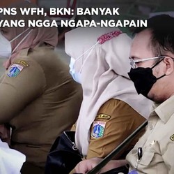 Waduh, ASN WFH, BKN Sebut Banyak yang Gak Ngapa-ngapain?
