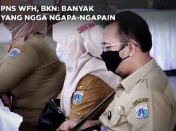 Waduh, ASN WFH, BKN Sebut Banyak yang Gak Ngapa-ngapain?