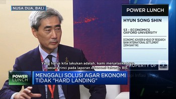 BIS Ungkap Peluang "Soft Landing" Ekonomi Saat Inflasi Tinggi
