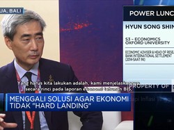 BIS Ungkap Peluang "Soft Landing" Ekonomi Saat Inflasi Tinggi