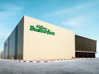 Dubai Bangun Kebun Sayur di Tengah Gurun, Luasnya 3 Hektare