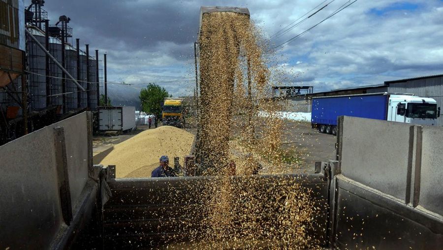 A worker loads a truck with grain at a terminal during barley harvesting in Odesa region, as Russia's attack on Ukraine continues, Ukraine June 23, 2022.  REUTERS/Igor Tkachenko