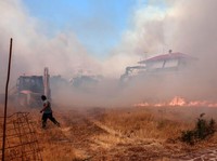 Kebakaran Hutan Yunani 'Menggila', Resor Dilalap Habis!