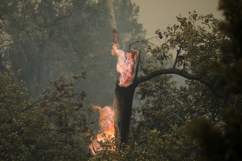 CALIFORNIA-WILDFIRES/ 10 Tanker aircraft flies over the Oak Fire as it burns near Darrah in Mariposa County, California, U.S. July 23, 2022. REUTERS/David Swanson
