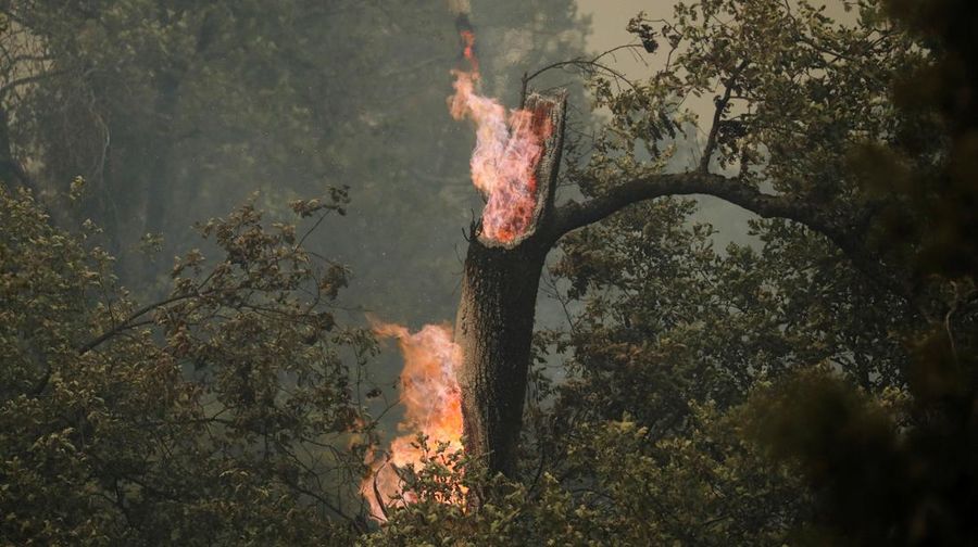 10 Tanker aircraft flies over the Oak Fire as it burns near Darrah in Mariposa County, California, U.S. July 23, 2022.  REUTERS/David Swanson