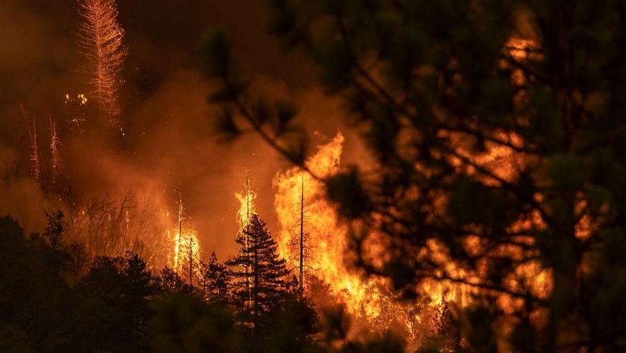 The Oak Fire burns near Darrah in Mariposa County, California, U.S. July 23, 2022. REUTERS/Carlos Barria