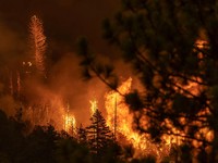 Ada 'Neraka' Di AS, Ribuan Hektare Hutan California Terbakar!