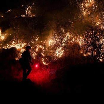 Penampakan Kobaran Api yang Bumi Hanguskan Hutan California