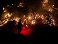 Penampakan Kobaran Api yang Bumi Hanguskan Hutan California