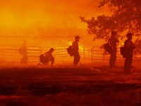 Gelombang Panas Eropa Makin Ganas, Yunani-California Terbakar