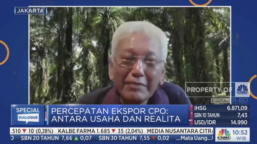 Anggota Dewan Pembina Gabungan Pengusaha Kelapa Sawit Indonesia (GAPKI) Maruli Gultom (Tangkapan layar ²©²ÊÍøÕ¾ TV)