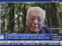 Maruli Gultom Mundur dari Kursi Presiden Komisaris PALM