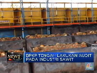 BPKP Mulai Audit Industri Sawit