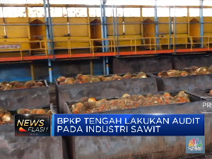 BPKP Mulai Audit Industri Sawit