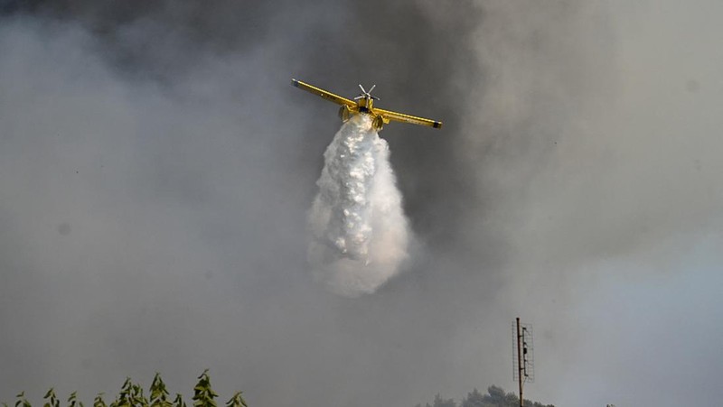 Kebakaran hutan berkobar dekat resor Vatera di Lesbos, Yunani (REUTERS/EUROKINISSI)