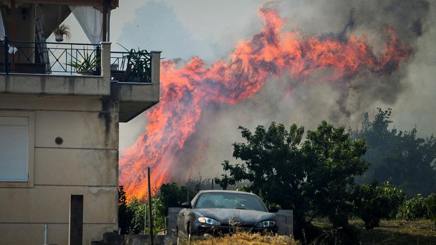 Kebakaran hutan berkobar dekat resor Vatera di Lesbos, Yunani (REUTERS/EUROKINISSI)