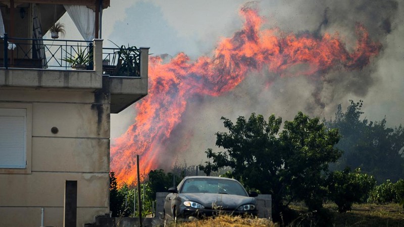 Kebakaran hutan berkobar dekat resor Vatera di Lesbos, Yunani (REUTERS/EUROKINISSI)