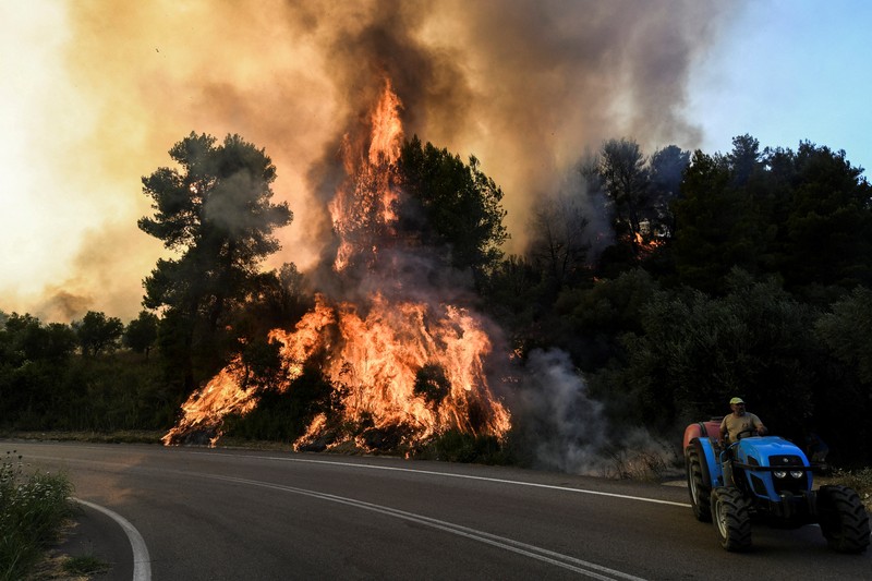 Kebakaran hutan berkobar dekat resor Vatera di Lesbos, Yunani (REUTERS/EUROKINISSI) Kebakaran hutan berkobar dekat resor Vatera di Lesbos, Yunani (REUTERS/EUROKINISSI)