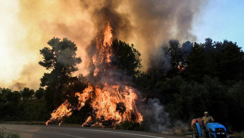 Kebakaran hutan berkobar dekat resor Vatera di Lesbos, Yunani (REUTERS/EUROKINISSI)