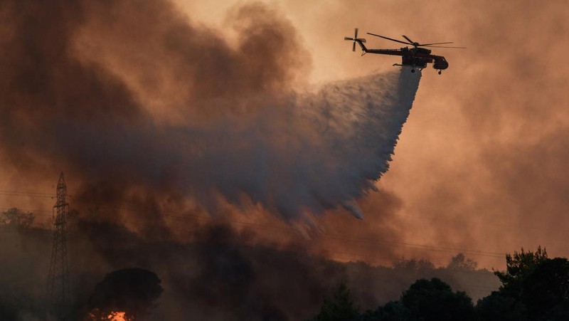 Kebakaran hutan berkobar dekat resor Vatera di Lesbos, Yunani (REUTERS/EUROKINISSI)
