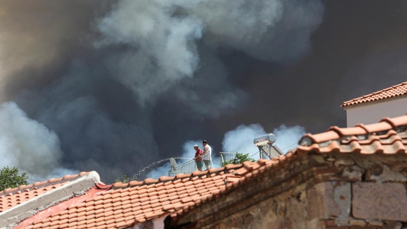 Kebakaran hutan berkobar dekat resor Vatera di Lesbos, Yunani (REUTERS/EUROKINISSI)