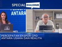 Kemendag Beberkan Alasan Harga TBS Sawit Belum Sesuai Harapan