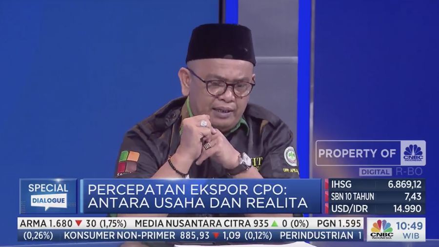 Ketua Umum DPP Asosiasi Petani Kelapa Sawit Indonesia (Apkasindo) Gulat Manurung. (Tangkapan layar CNBC Indonesia TV)