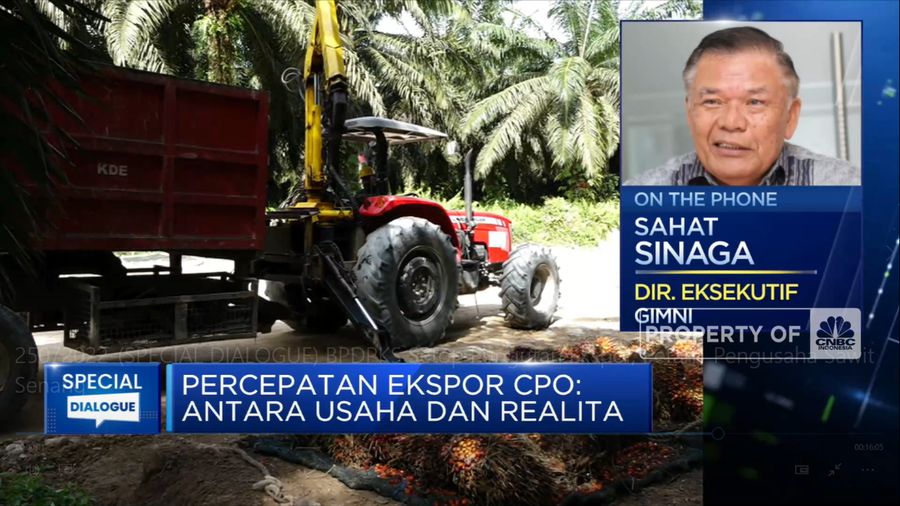 Percepat Ekspor CPO, Pengusaha Minta Aturan DMO & DPO Dicabut (CNBC Indonesia TV)
