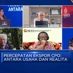 Jika DMO dan DPO CPO Dihapus, Ini Dampaknya Dari Hulu-Hilir