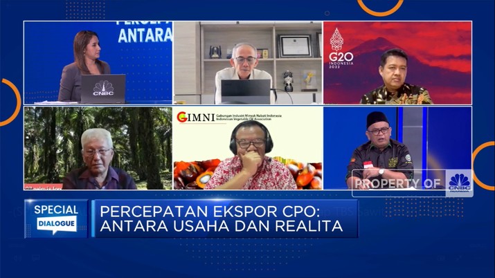 Program B35 Strategi Tambahan Serap TBS Sawit Petani, Efektif? (CNBC Indonesia TV)