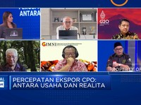 Jika DMO dan DPO CPO Dihapus, Ini Dampaknya Dari Hulu-Hilir