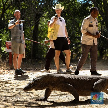 Tiket Masuk Rp3,75 Juta, Intip Keindahan Pulau Komodo & Padar