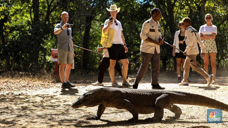 Wisatawan berkunjung di Taman Nasional Komodo, Pulau Komodo, Nusa Tenggara Timur, Minggu (24/7/2022). (CNBC Indonesia/ Andrean Kristianto)