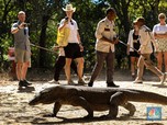 Tiket Masuk Naik 50 Kali Lipat, Turis Jadi Ogah ke TN Komodo?