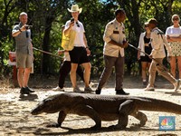 Tiket Masuk Naik 50 Kali Lipat, Turis Jadi Ogah ke TN Komodo?