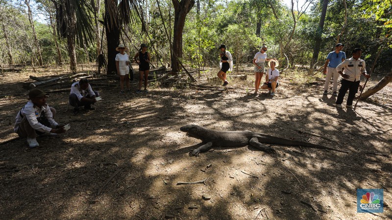 Pulau Komodo Wisatawan berkunjung di Taman Nasional Komodo, Pulau Komodo, Nusa Tenggara Timur, Minggu (24/7/2022). (CNBC Indonesia/ Andrean Kristianto)