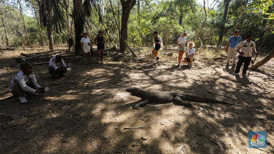 Wisatawan berkunjung di Taman Nasional Komodo, Pulau Komodo, Nusa Tenggara Timur, Minggu (24/7/2022). (CNBC Indonesia/ Andrean Kristianto)