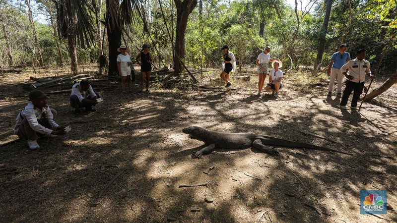 Wisatawan berkunjung di Taman Nasional Komodo, Pulau Komodo, Nusa Tenggara Timur, Minggu (24/7/2022). (CNBC Indonesia/ Andrean Kristianto)